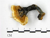 登錄號:F0015480藏品圖，第1張