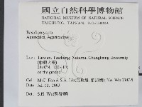 登錄號:F0015481藏品圖，第2張