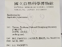 登錄號:F0015482藏品圖，第2張