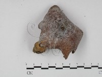 登錄號:F0015482藏品圖，第1張