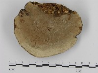 登錄號:F0015483藏品圖，第4張