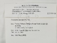 登錄號:F0015484藏品圖，第2張