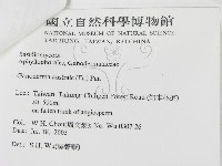 登錄號:F0015484藏品圖，第3張