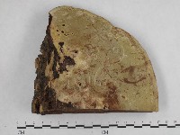 登錄號:F0015484藏品圖，第1張