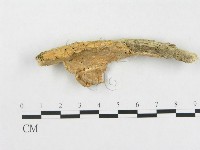 登錄號:F0015485藏品圖，第1張