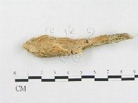 登錄號:F0015485藏品圖，第3張