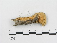 登錄號:F0015486藏品圖，第3張