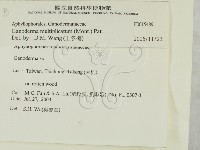 登錄號:F0015489藏品圖，第2張