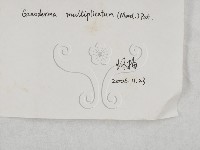 登錄號:F0015489藏品圖，第3張
