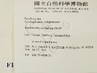 登錄號:F0015490藏品圖，第2張