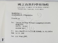 栓菌屬藏品圖，第2張