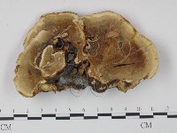 登錄號:F0015493藏品圖，第3張