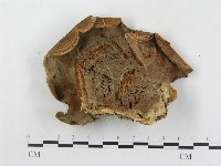 登錄號:F0015494藏品圖，第3張