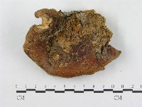 登錄號:F0015494藏品圖，第4張