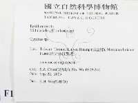 黑蛋巢菌屬藏品圖，第2張