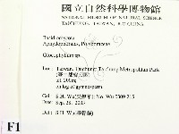 登錄號:F0015498藏品圖，第2張
