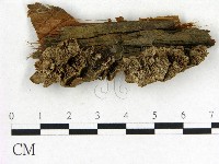 登錄號:F0015498藏品圖，第1張