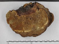 登錄號:F0015500藏品圖，第3張