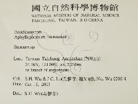韌革菌屬藏品圖，第2張