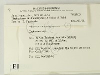 登錄號:F0015505藏品圖，第2張