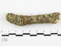 登錄號:F0015507藏品圖，第1張