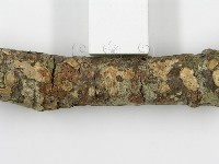 登錄號:F0015507藏品圖，第4張