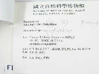 登錄號:F0015508藏品圖，第3張