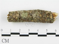 登錄號:F0015508藏品圖，第1張