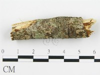 登錄號:F0015508藏品圖，第4張