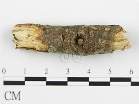 登錄號:F0015508藏品圖，第6張