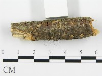 登錄號:F0015508藏品圖，第7張