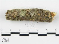 登錄號:F0015508藏品圖，第8張