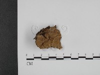 登錄號:F0015510藏品圖，第1張