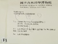 登錄號:F0015511藏品圖，第2張