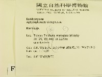 登錄號:F0015512藏品圖，第2張