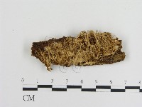 登錄號:F0015512藏品圖，第1張