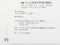 樹脂殼菌屬藏品圖，第2張