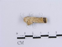 登錄號:F0015514藏品圖，第1張