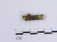 登錄號:F0015514藏品圖，第3張