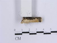 登錄號:F0015514藏品圖，第4張