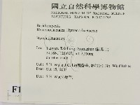 刺革菌屬藏品圖，第2張