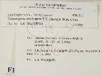 登錄號:F0015517藏品圖，第2張