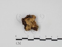 登錄號:F0015517藏品圖，第1張