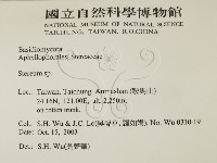 韌革菌屬藏品圖，第2張