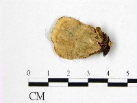 登錄號:F0015520藏品圖，第3張