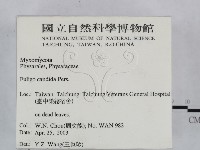 登錄號:F0015521藏品圖，第2張