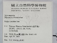 登錄號:F0015522藏品圖，第2張
