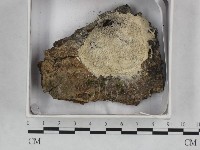 登錄號:F0015522藏品圖，第1張