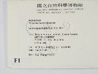 登錄號:F0015523藏品圖，第2張
