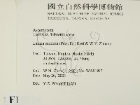 登錄號:F0015526藏品圖，第2張